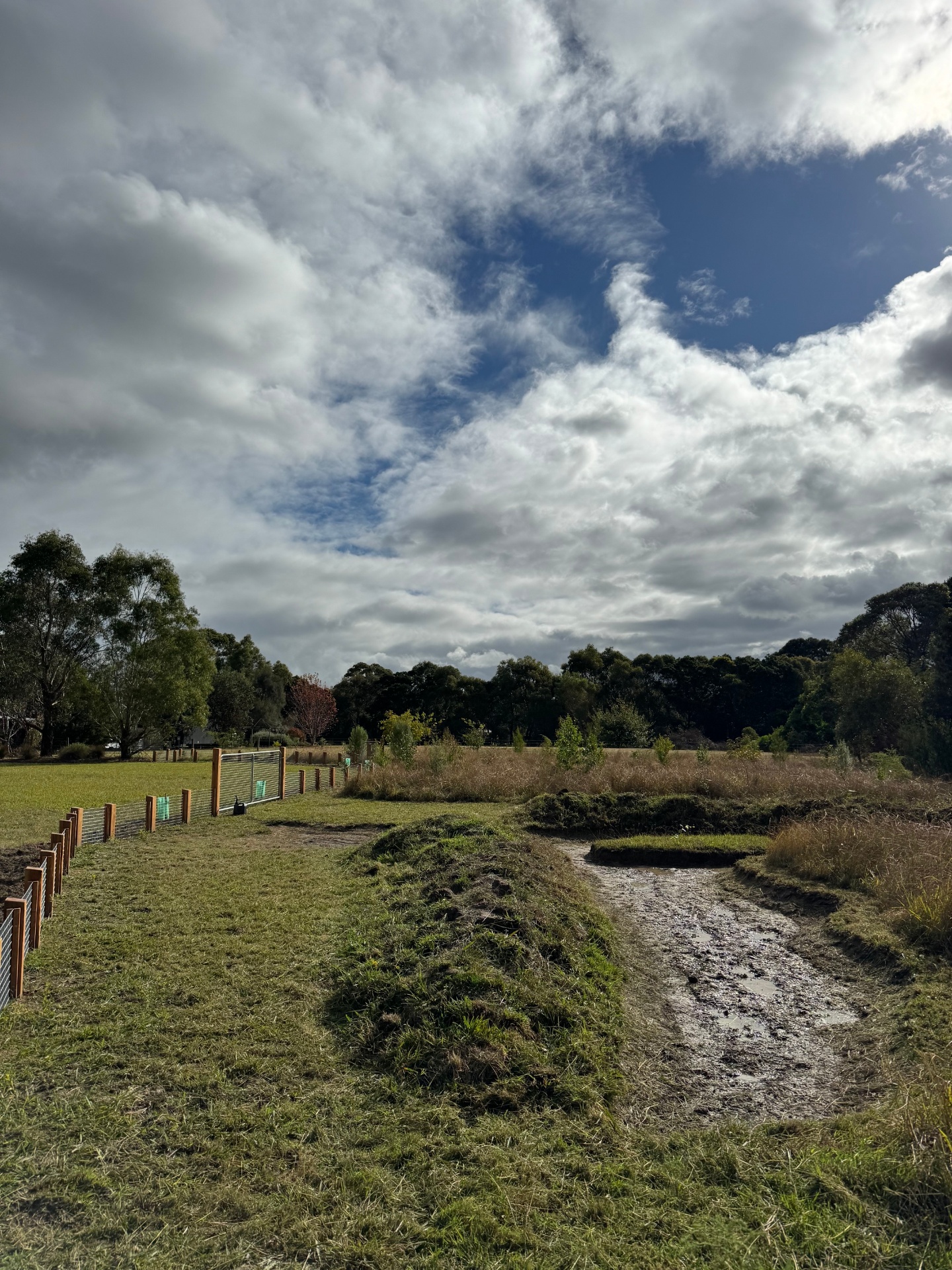 New timber and wire boundary fencing with fresh earthworks and a shaped swale across an open paddock.