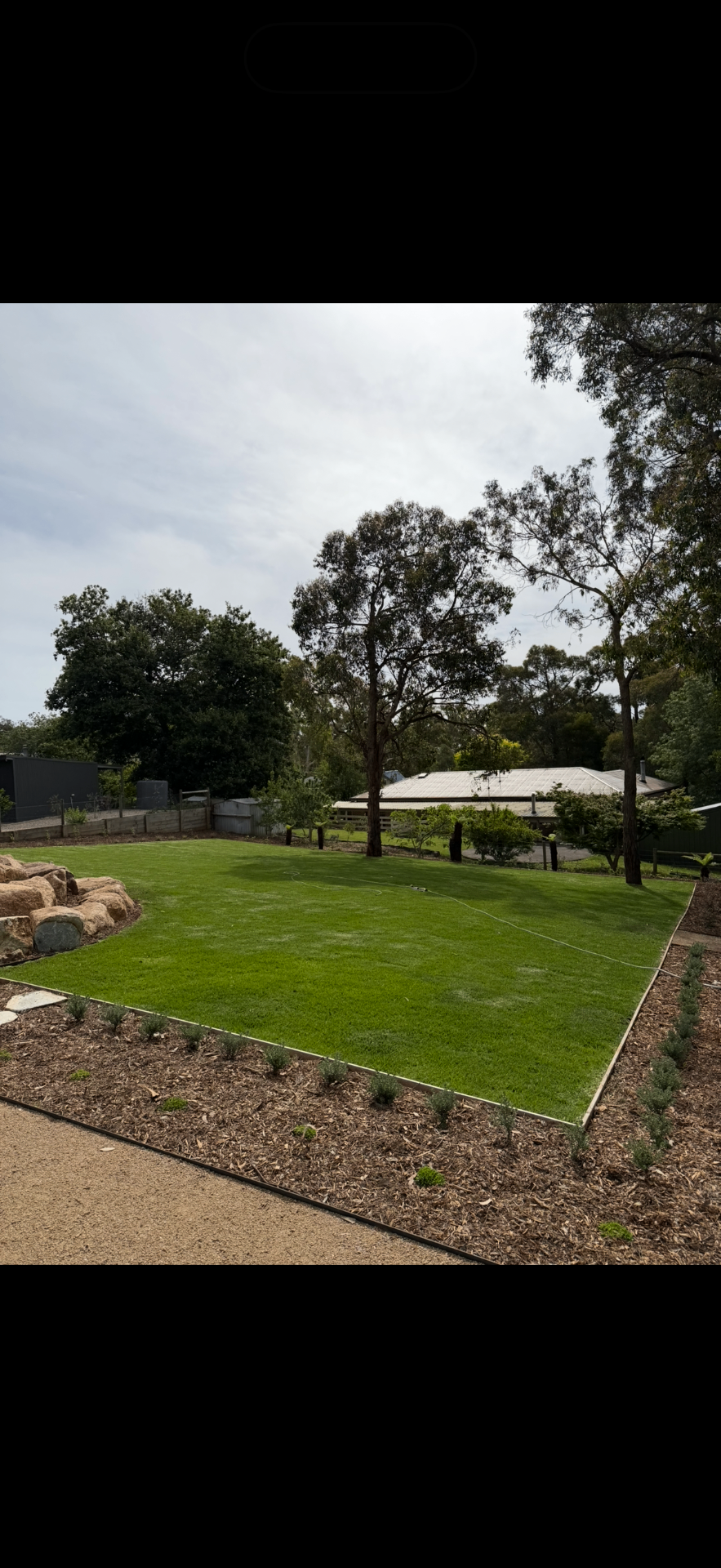 Fresh level lawn framed by lavender borders and a granite boulder feature under mature gum trees.